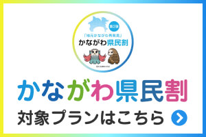 箱根湯本温泉 吉池旅館 公式 日帰り 庭園散策 湯本駅徒歩7分